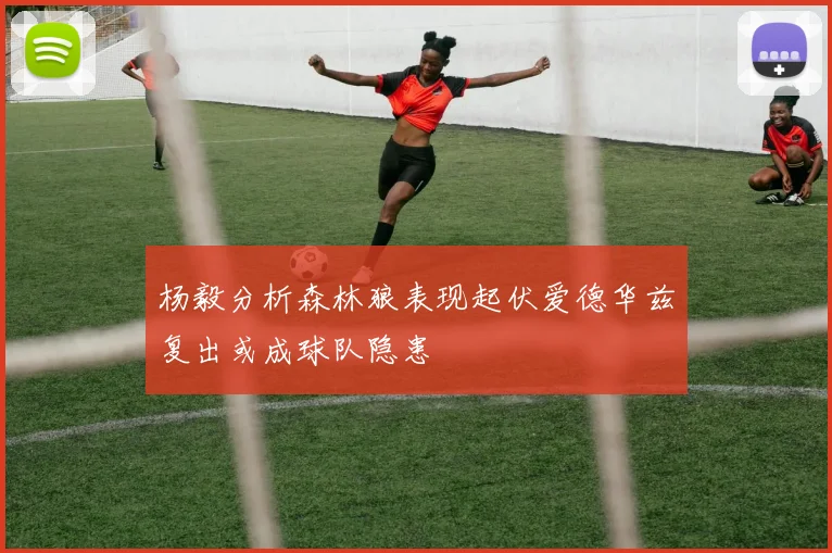 杨毅分析森林狼表现起伏爱德华兹复出或成球队隐患